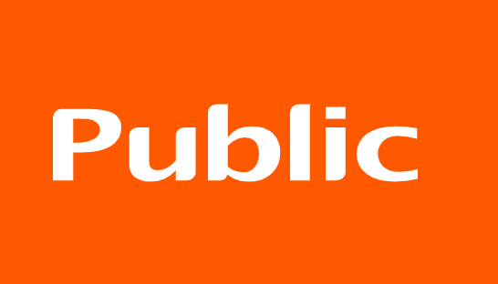 Public Group: Continued Improvement in Operating Performance and Sales Exceeding €500 Million in 2025